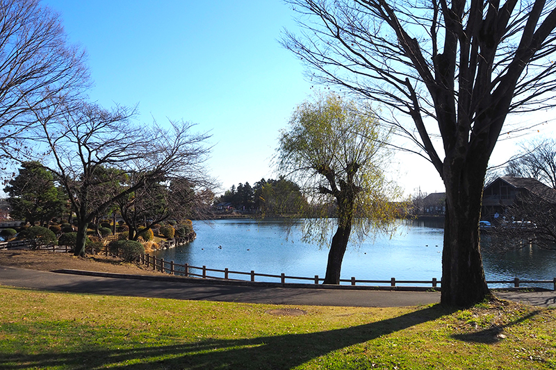 Mitsudera Park